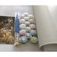 DIY Oil Painting Kit, Parrot