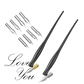 Calligraphy Pen with Removable Nib