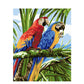 DIY Oil Painting Kit, Parrot