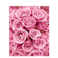 DIY Digital Oil Painting, Roses